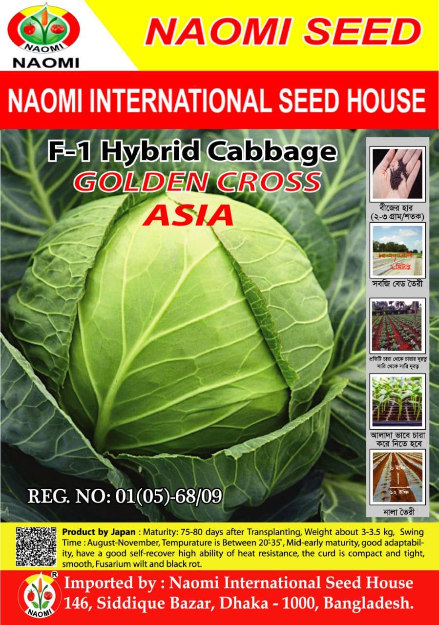 বাঁধাকপি ( F1 - Hybrid ) GOLDEN CROSS ASIA
