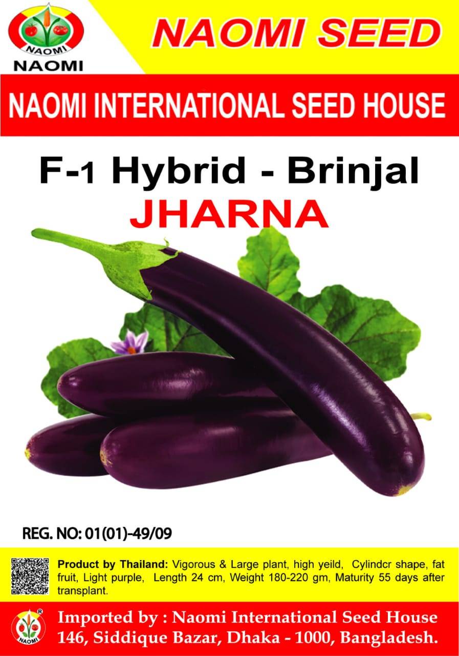Brinjal / বেগুন ( F1 - Hybrid ) JHARNA