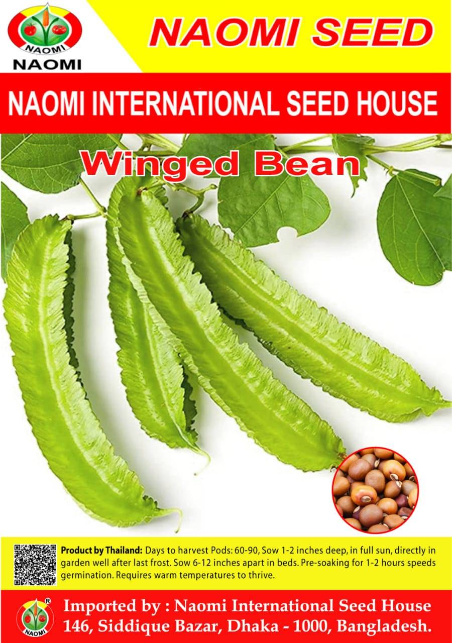 Winged Bean কামরাঙ্গা সিম