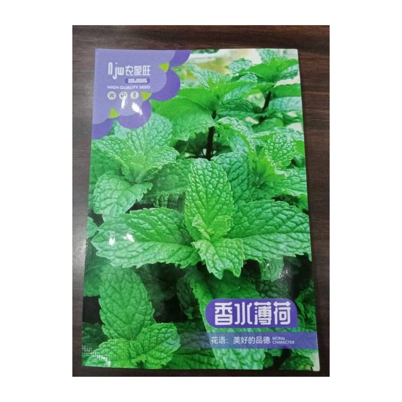 হাইব্রিড পুদিনা বীজ | Mint Seeds - (চায়না প্যাকেট)