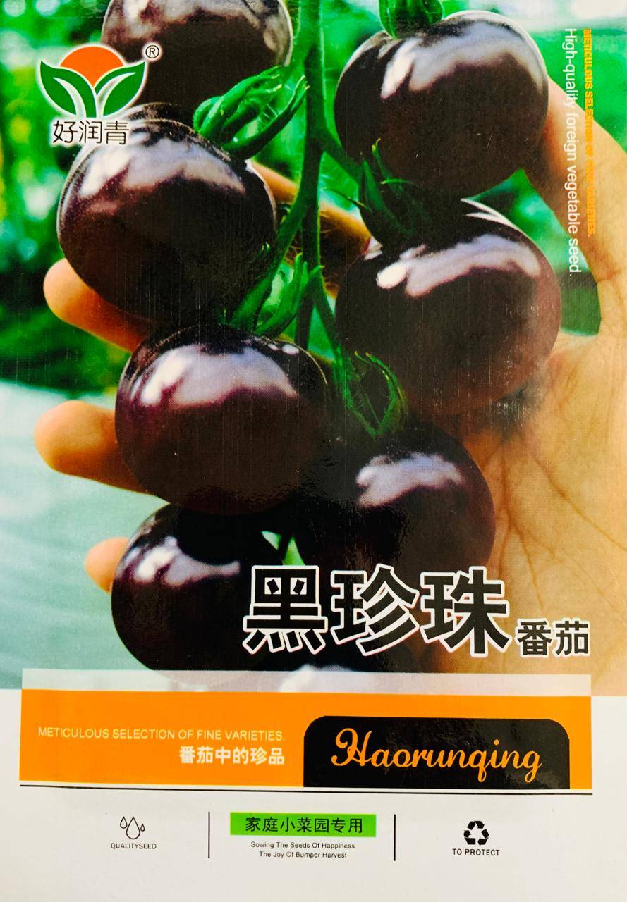 কালো টমেটো বীজ (হাইব্রিড)