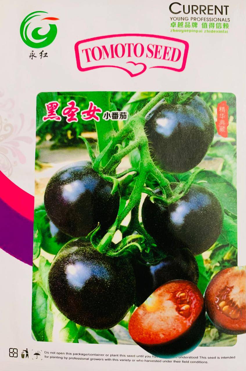 কালো টমেটো বীজ (হাইব্রিড)