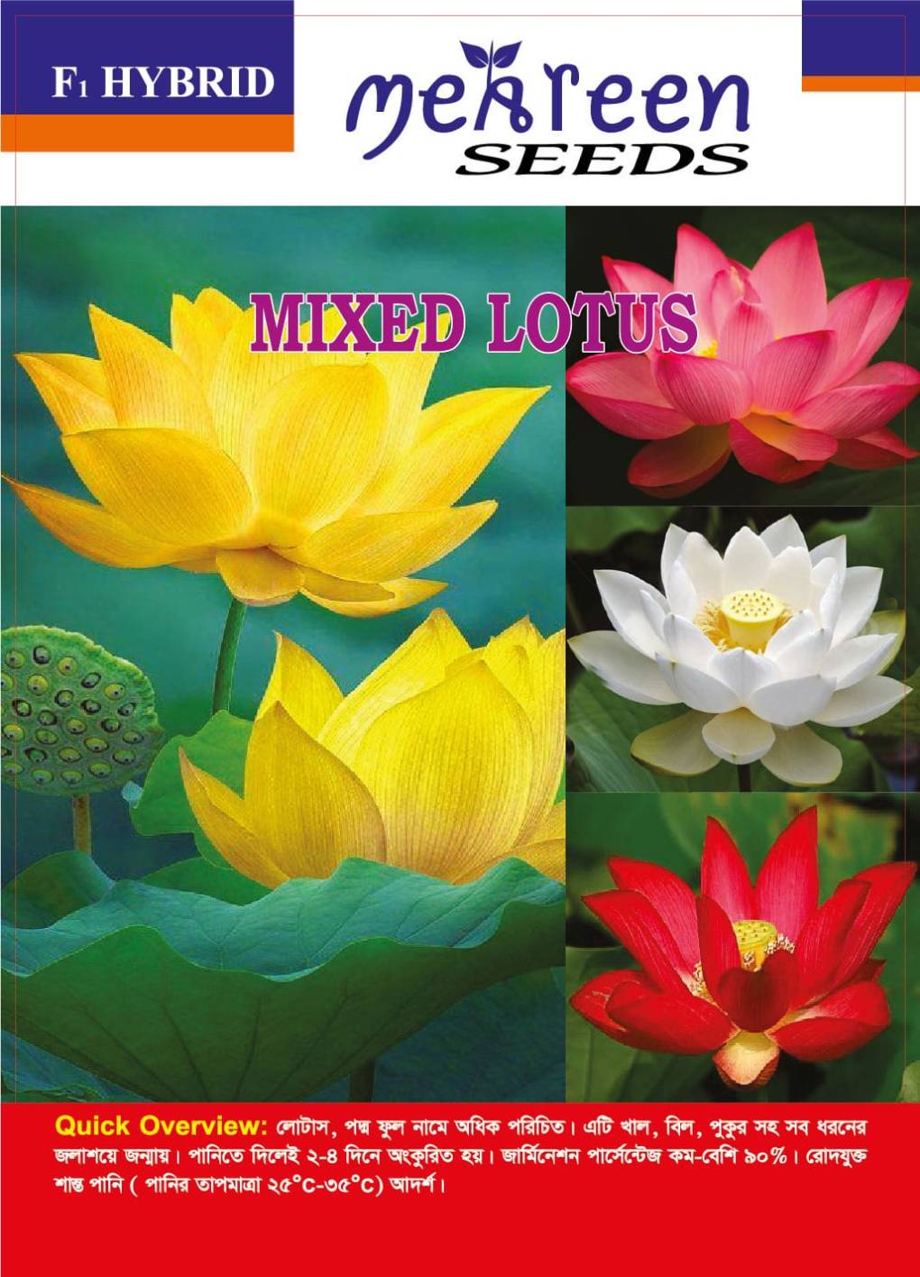পদ্ম ফুল (লটাস ) | Lotus Flower Mixed