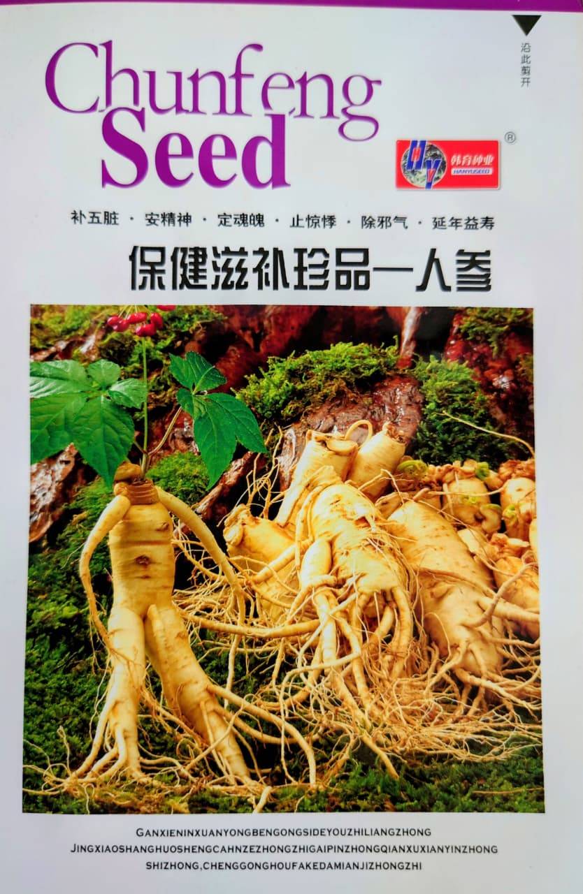 বিশ্ববিখ্যাত হার্বাল উদ্ভিদ ‘জিনসেং