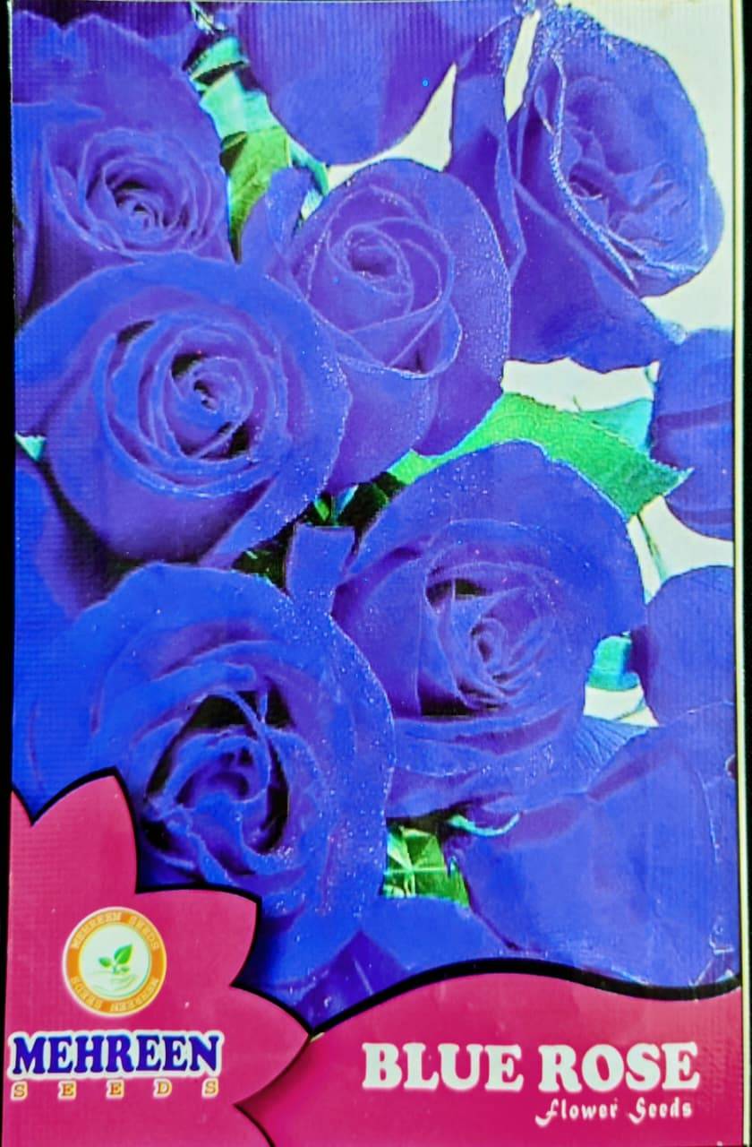 নীল গোলাপ ফুলের বীজ । Blue Rose Seeds