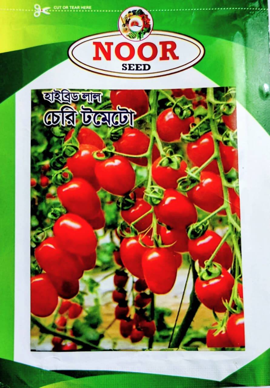 হাইব্রিড লাল চেরি টমেটো