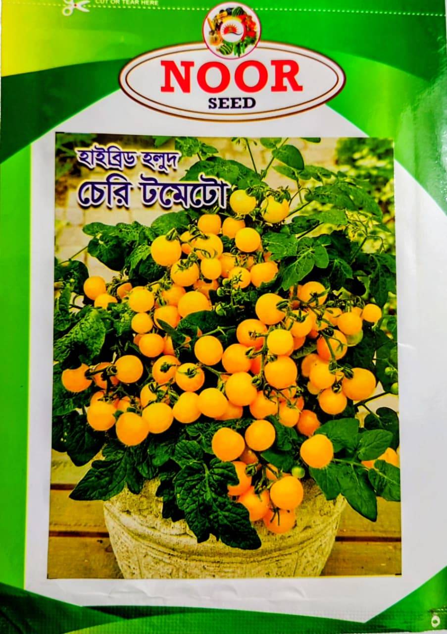 হাইব্রিড হলুদ চেরি টমেটো