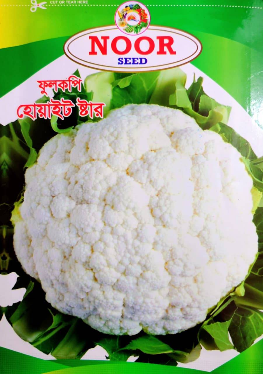 ফুলকপি হোয়াইট  ষ্টার