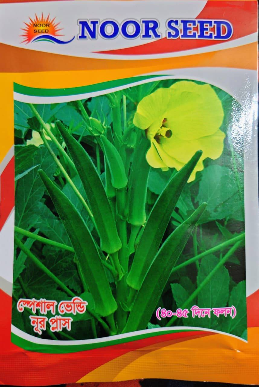 স্পেশাল ভেন্ডি নুর প্লাস - Special Okra Noor Plus