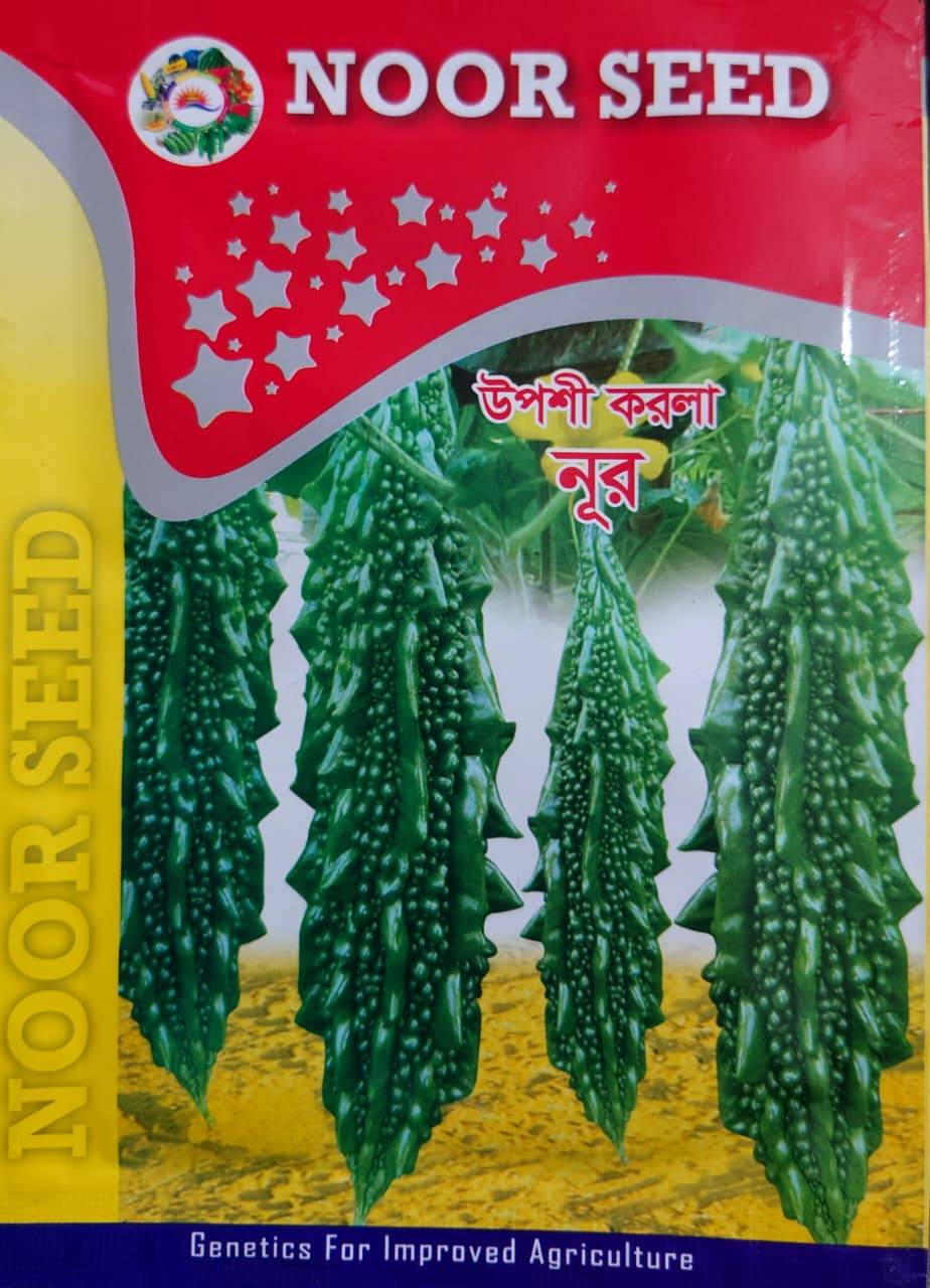 উপশী করলা নুর