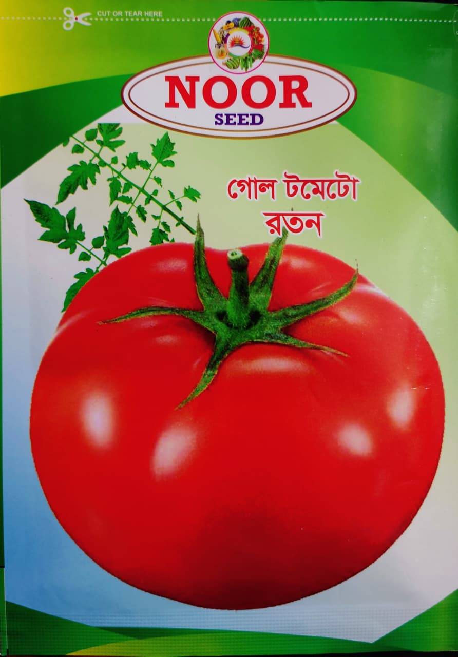 গোল টমেটো রতন