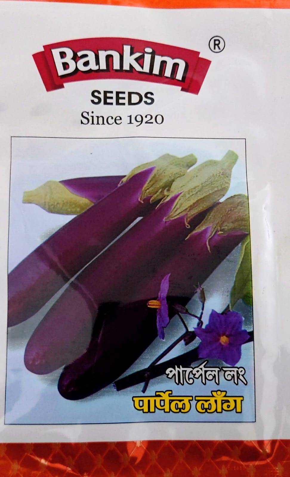 ইন্ডিয়ান বেগুন - পার্পেল কিং । Purple King