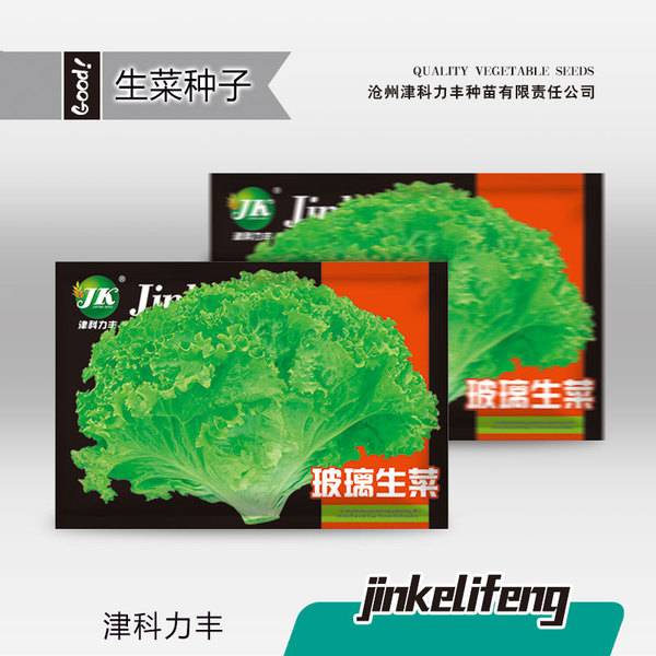 গ্লাস লেটুস – ৩ গ্রাম (প্রায় ৩,০০০ পিস) | Glass Lettuce – 3g (Approx. 3,000 Pcs)