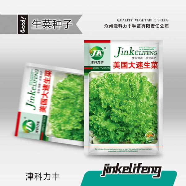 লার্জ স্পিড লেটুস – ৩ গ্রাম (প্রায় ৩,০০০ পিস) | Large Speed Lettuce – 3g (Approx. 3,000 Pcs)