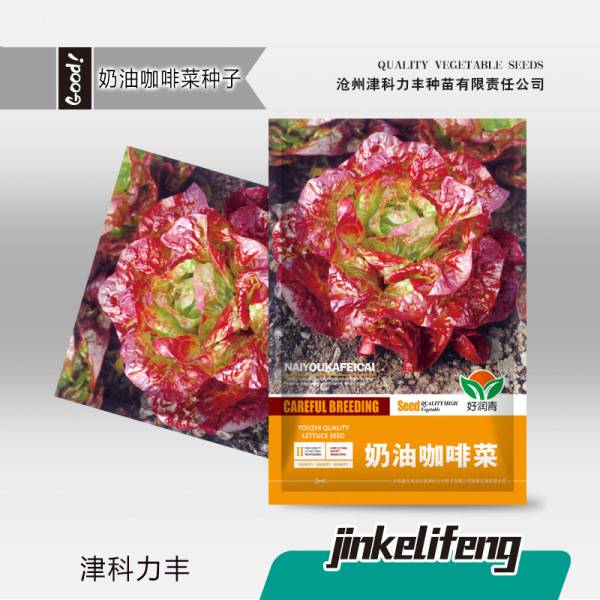 ক্রীম কফি ডিশ – প্রায় ১,০০০ পিস | Cream Coffee Dish – Approx. 1,000 Pcs