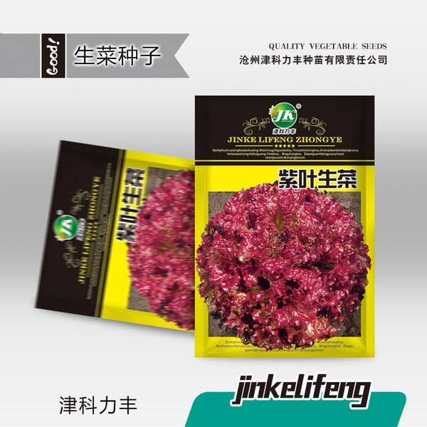 পার্পল লিফ লেটুস – ২ গ্রাম (প্রায় ২,০০০ পিস) | Purple Leaf Lettuce – 2g (Approx. 2,000 Pcs