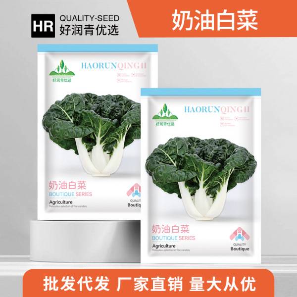 বাটার বাঁধাকপি – প্রায় ১,০০০ পিস | Butter Cabbage – Approx. 1,000 Pcs