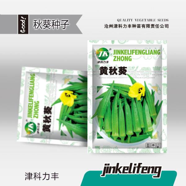 ঢেঁড়স – ৫ গ্রাম (প্রায় ৯০ পিস) | Okra