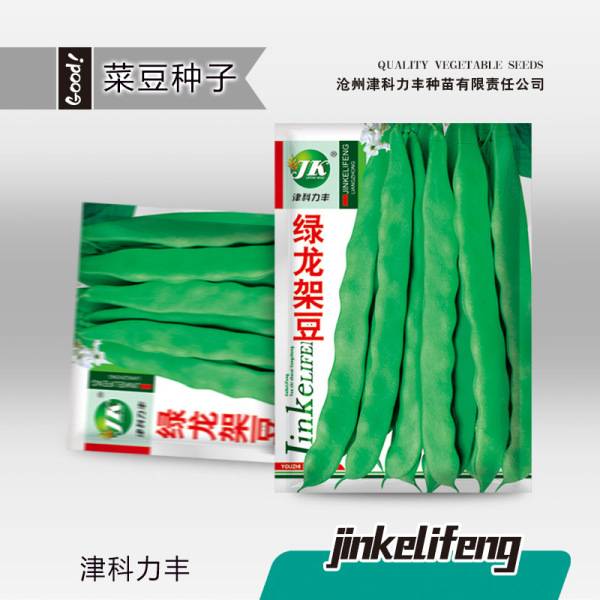 গ্রিন ড্রাগন শিম – ১০ গ্রাম (প্রায় ২০ পিস) | Green Dragon Beans