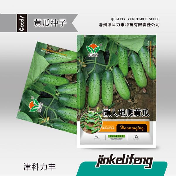 শসা  গ্রাউন্ড  – প্রায় ৫০ বীজ | Ground Cucumber