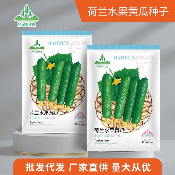 ডাচ ফ্রুট শসা – প্রায় ৩০ বীজ | Dutch Fruit Cucumber