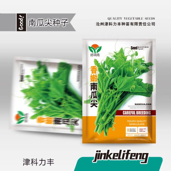 সুগন্ধি পাম্পকিন টিপস – ৫ গ্রাম (প্রায় ৪০ বীজ) | Fragrant Pumpkin Tips