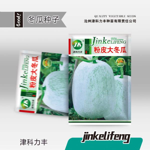 গোলাপী ত্বকের শীতকালীন চাল কুমড়া– ৫ গ্রাম (প্রায় ১৩০ বীজ) | Pink-Skinned Winter Melon