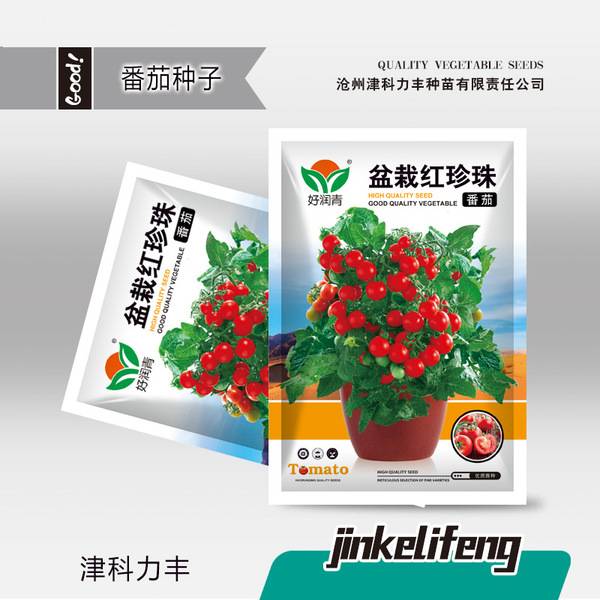 পটেড রেড পার্ল  চেরি টমেটো – প্রায় ১০০ বীজ | Potted Red Pearl Cherry Tomatoes