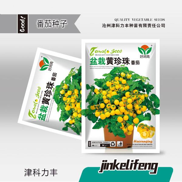 পটেড ইয়েলো পার্ল টমেটো – প্রায় ১০০ বীজ | Potted Yellow Pearl Tomatoes