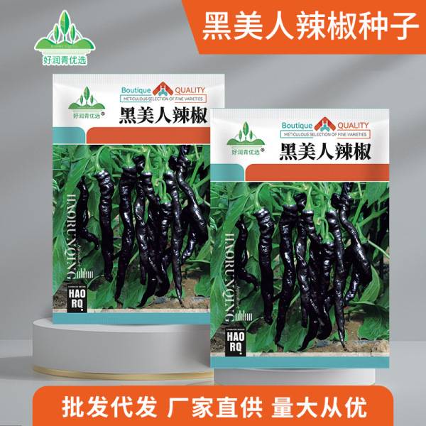 ব্ল্যাক বিউটি চিলি পেপার – প্রায় ১০০ বীজ | Black Beauty Chili Peppers