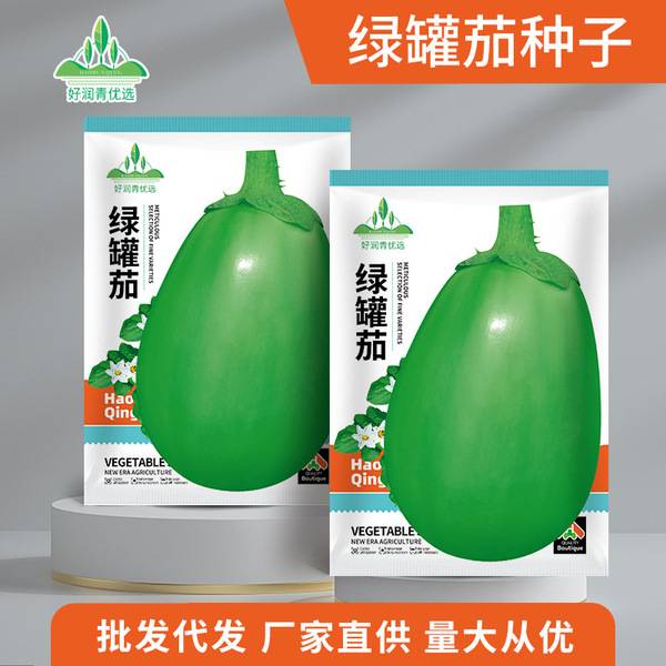 সবুজ ক্যানড বেগুন – ২ গ্রাম (প্রায় ৩০০ বীজ) | Green Canned Eggplant