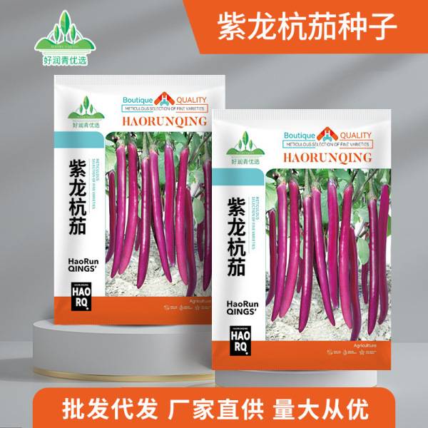 পার্পল ড্রাগন হাংচি বেগুন – প্রায় ১০০ বীজ | Purple Dragon Hangqie