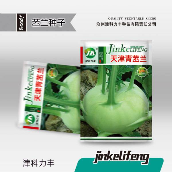 সবুজ কেল ওলকপি – ৫ গ্রাম (প্রায় ৫০০ বীজ) | Green Kale