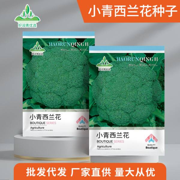 ছোট সবুজ ব্রকোলি – প্রায় ২০০ পিস | Small Green Broccoli