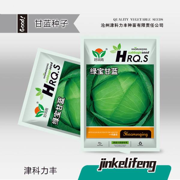 সবুজ বাঁধাকপি – প্রায় ২০০ পিস | Green Cabbage