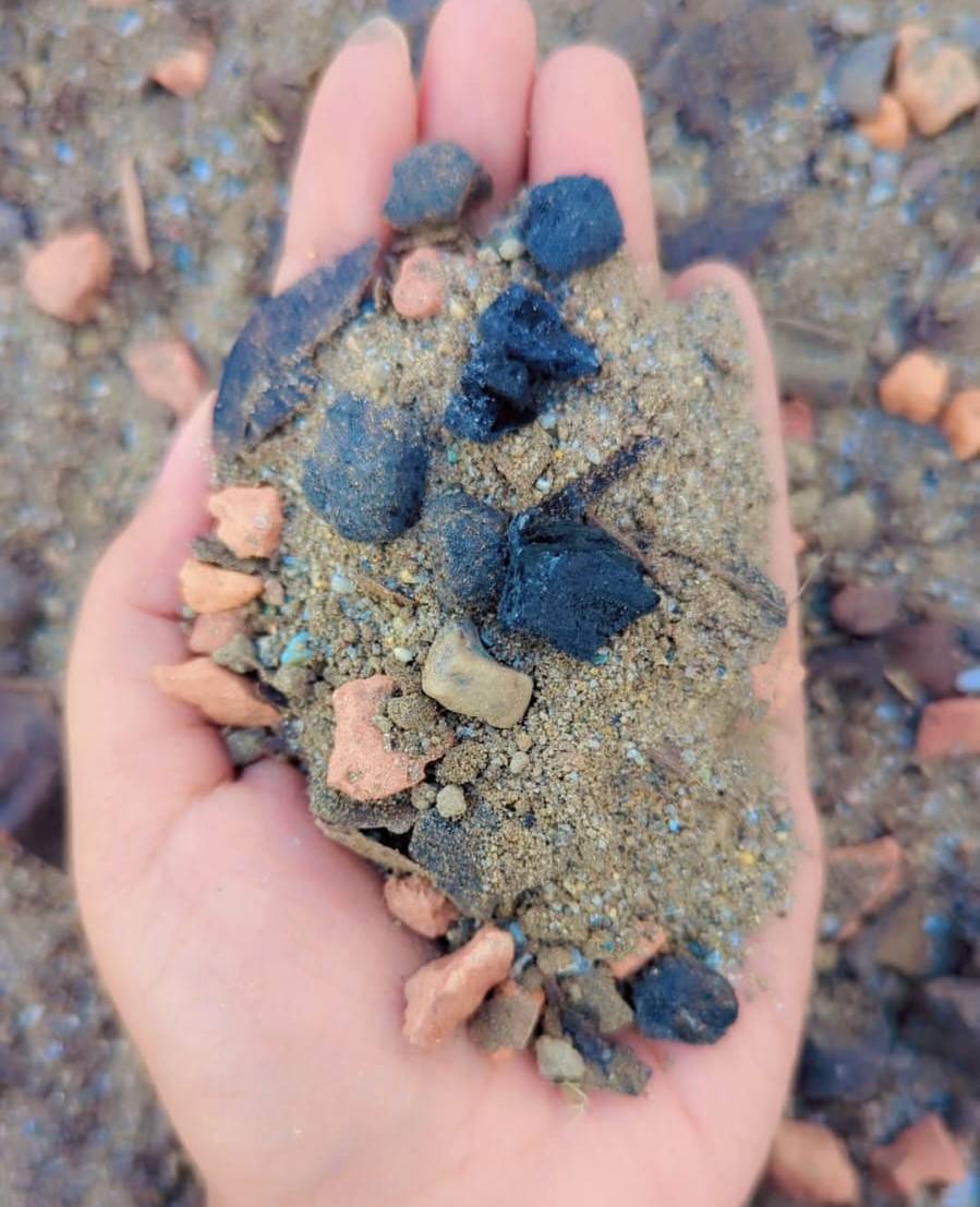 এডেনিয়াম মিডিয়া - ১২০ টাকা