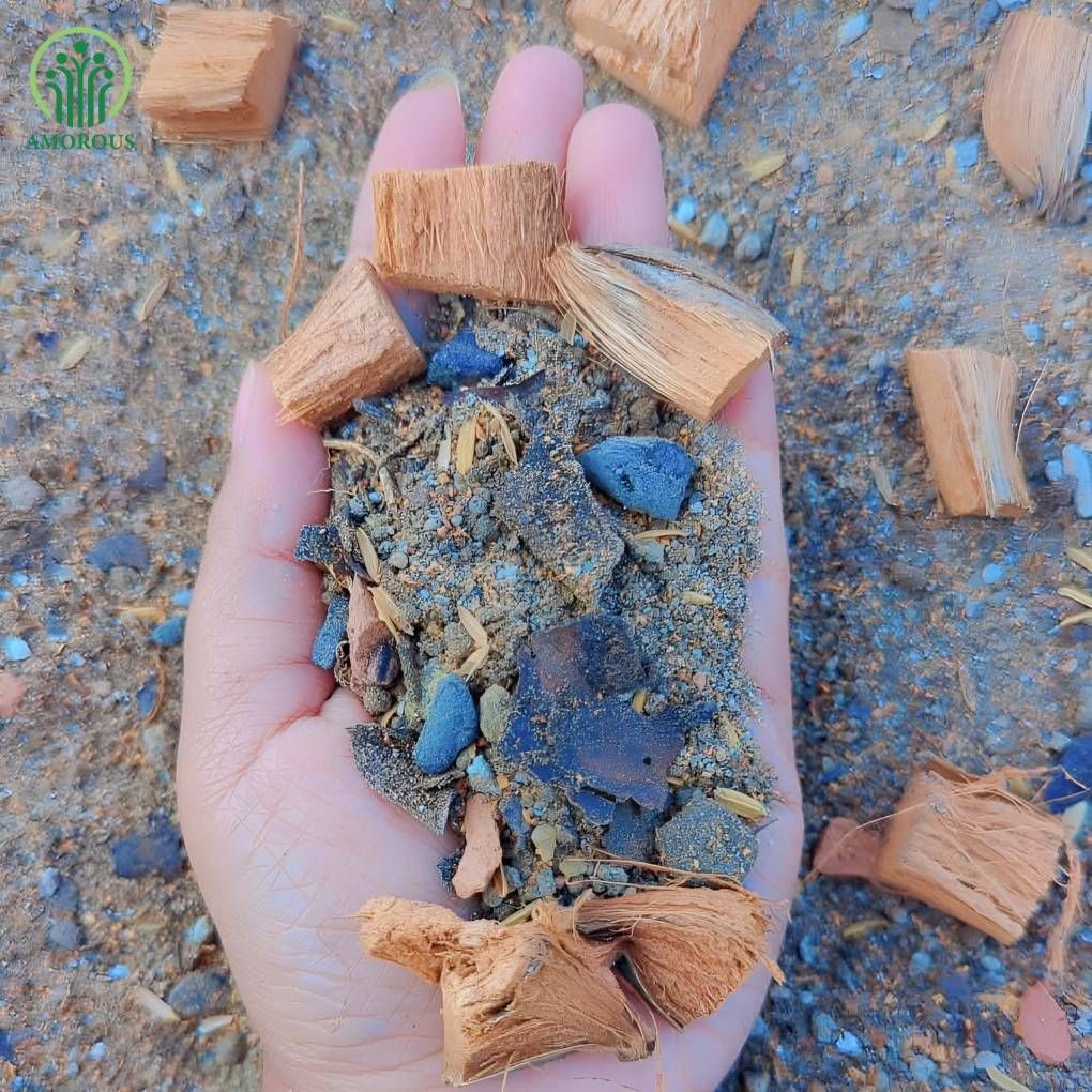 ক্যালাথিয়া মিডিয়া -কেজি ১৩০ টাকা