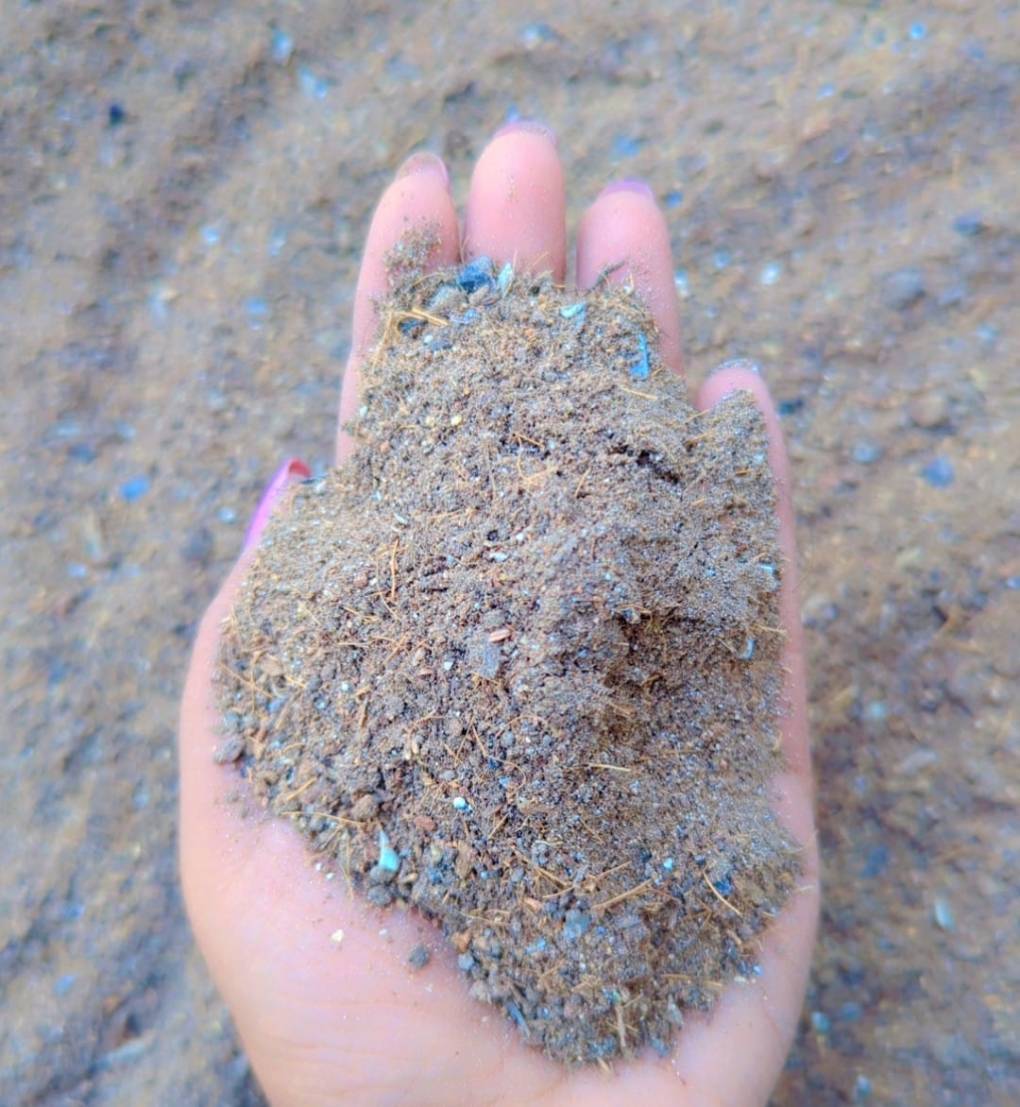 স্পেশাল অনুখাদ্য কেজি ১৫০ টাকা