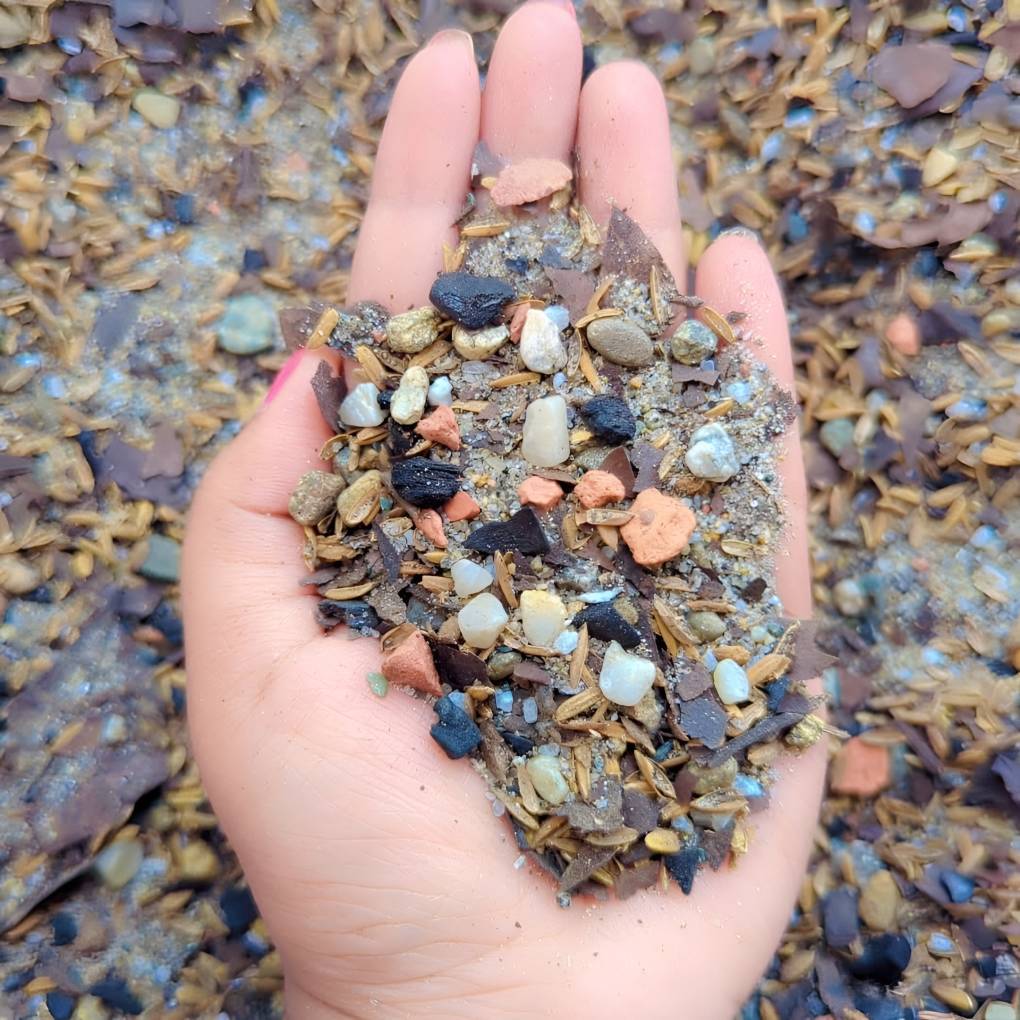 ক্যাকটাস মিডিয়া কেজি ১২০ টাকা