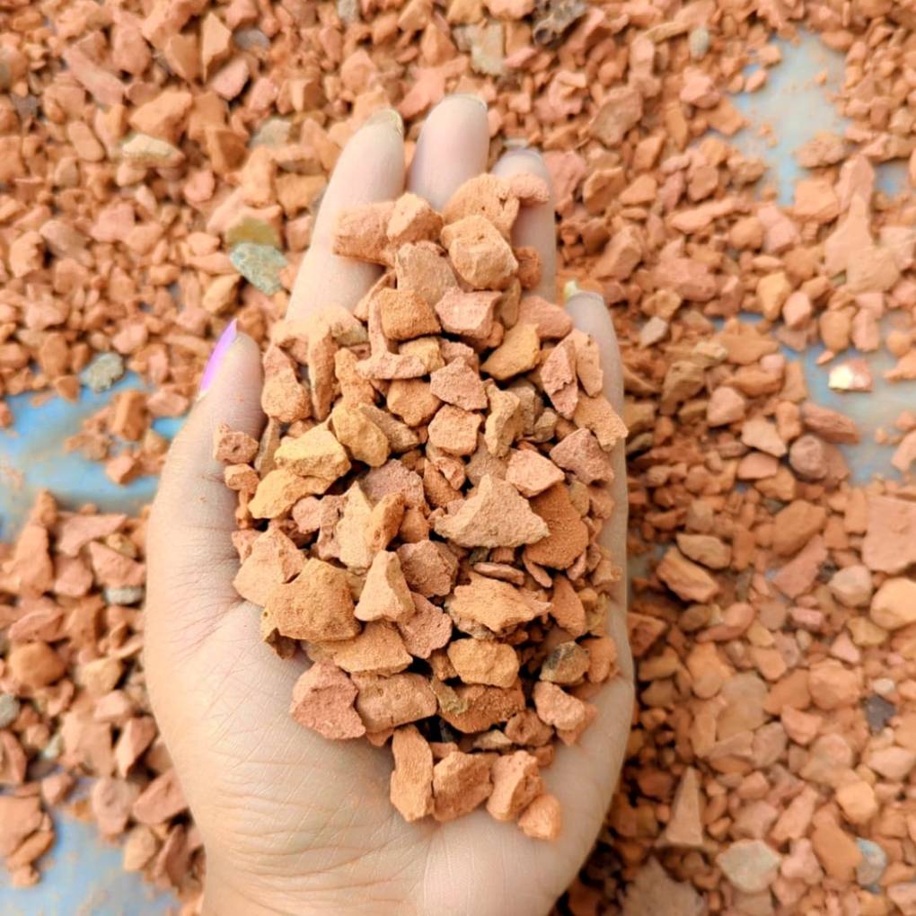 বিক্সস চিপস । ইটের চিপস