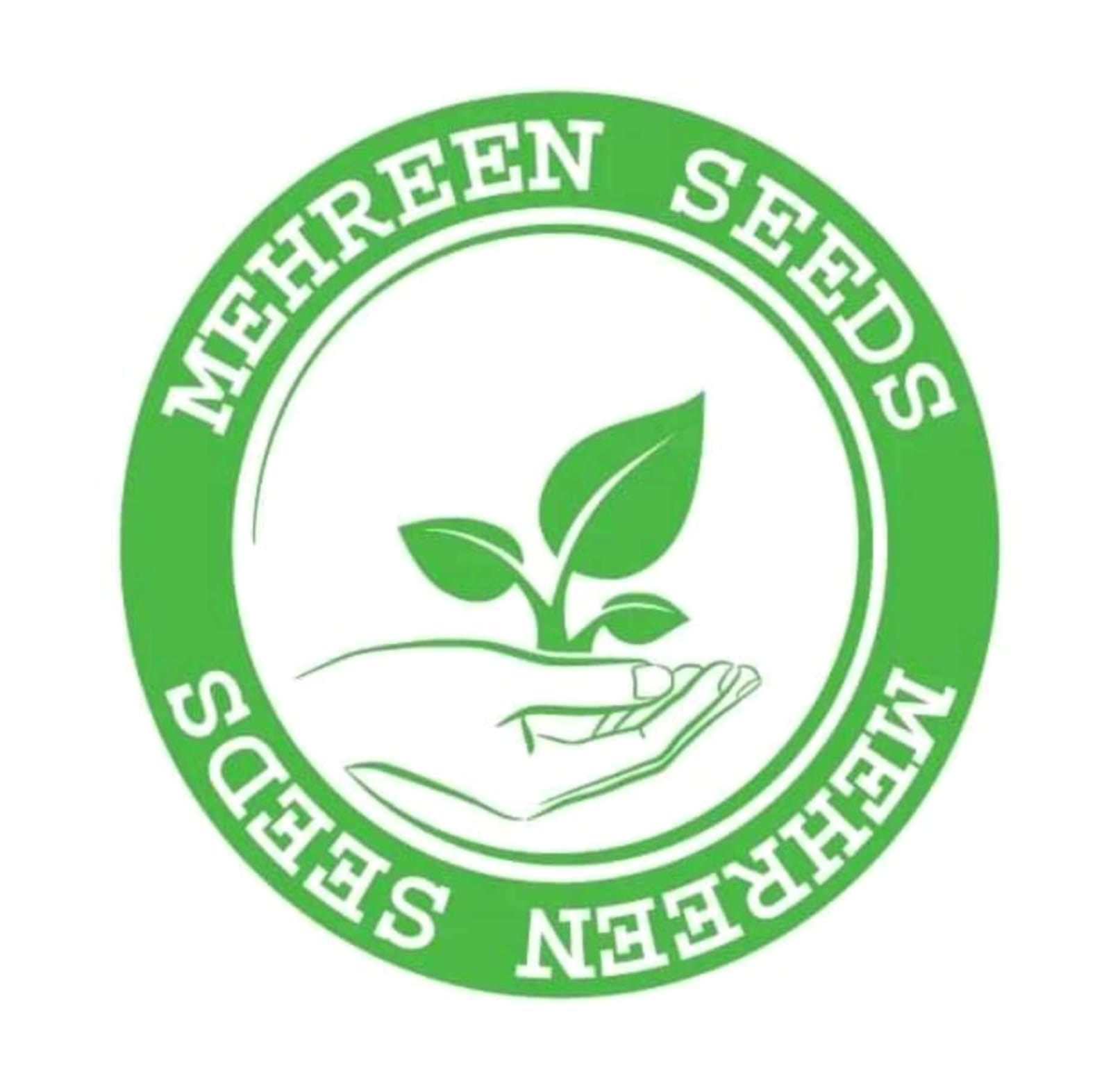 Mehreen Seeds