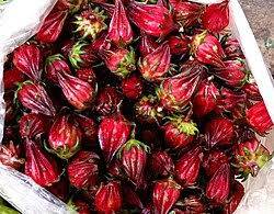 রোসেল (চুকাই) বীজ | Hibiscus sabdariffa Seed