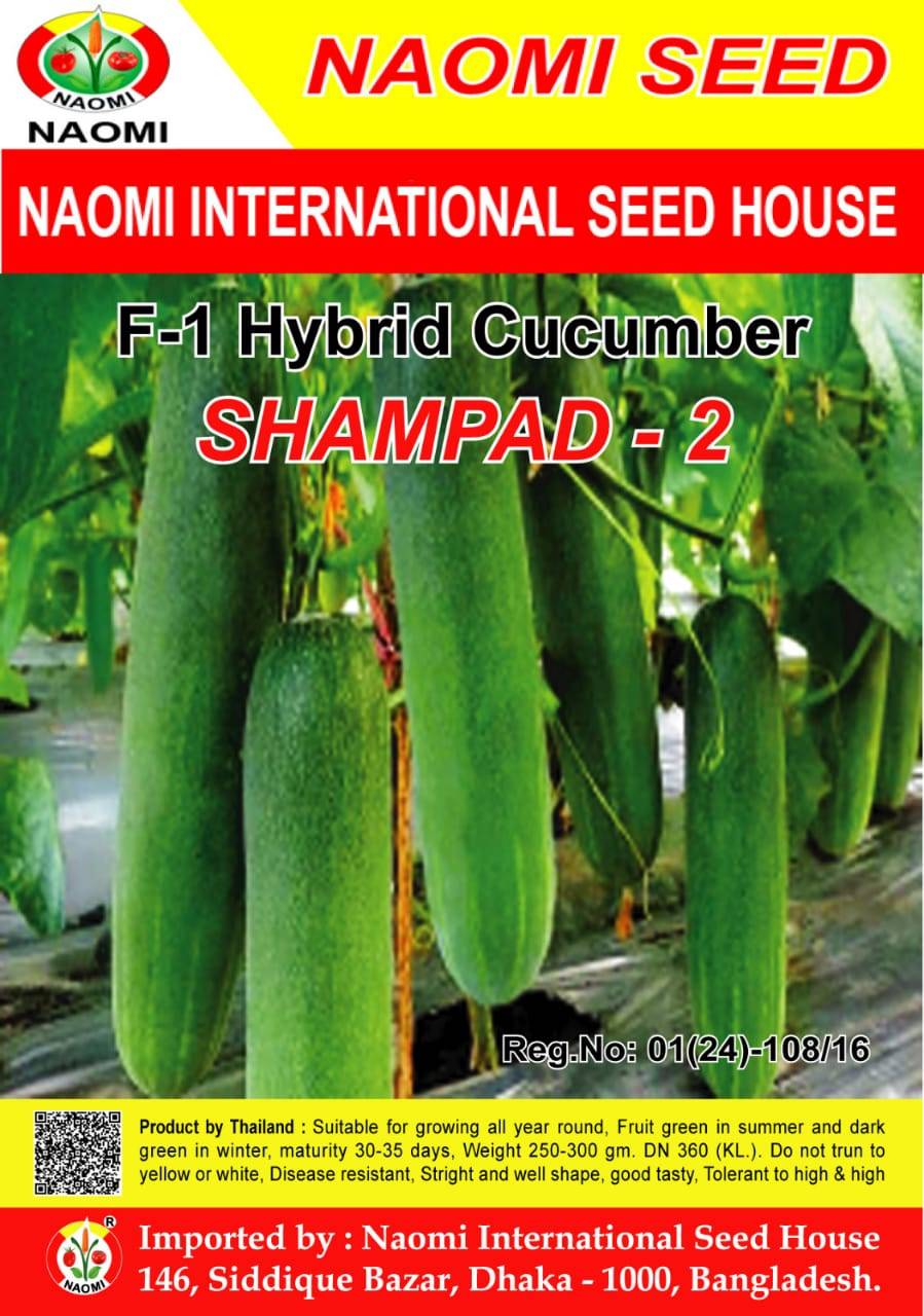 শসা (F1 - Hybrid) SHAMPAD-2