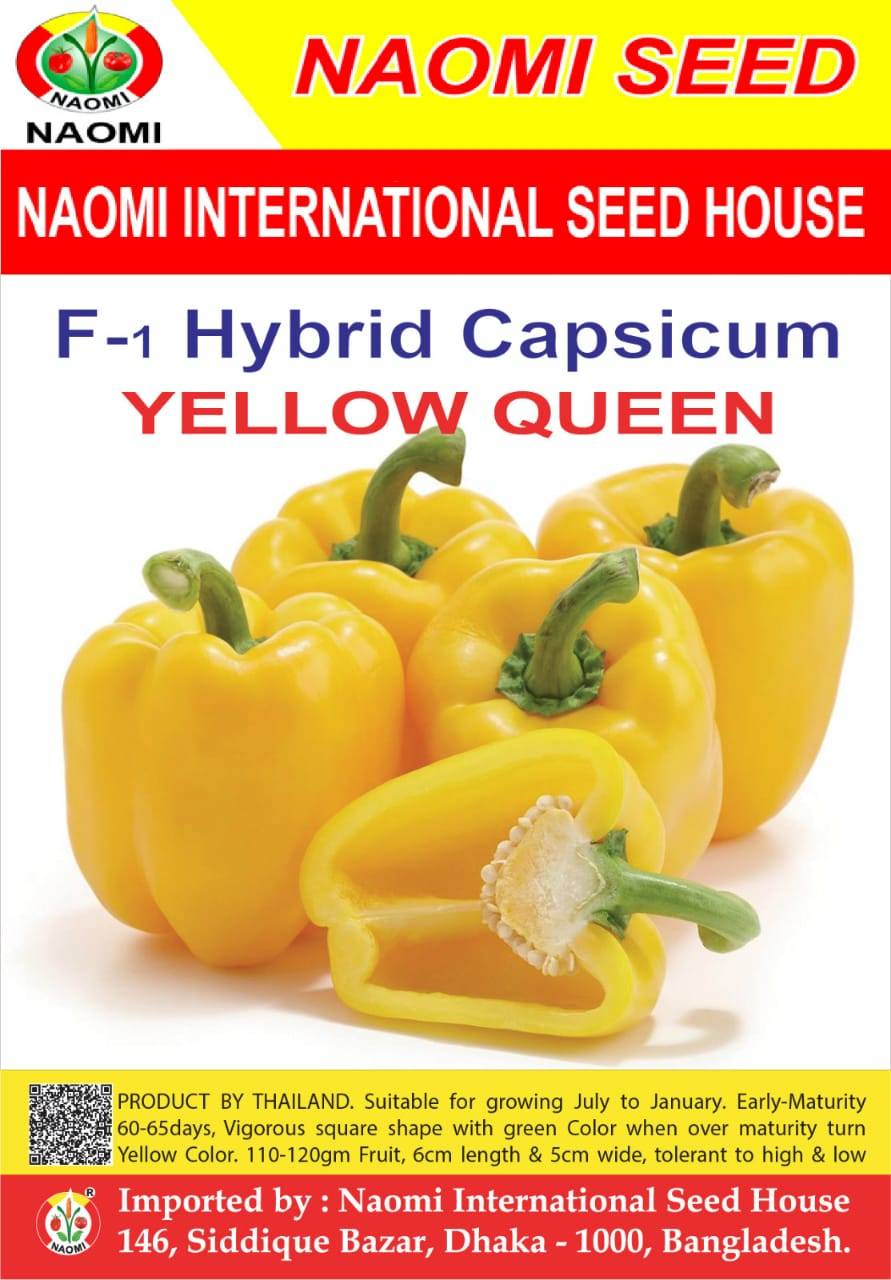 হাইব্রিড হলুদ ক্যাপসিকাম - Yellow Queen
