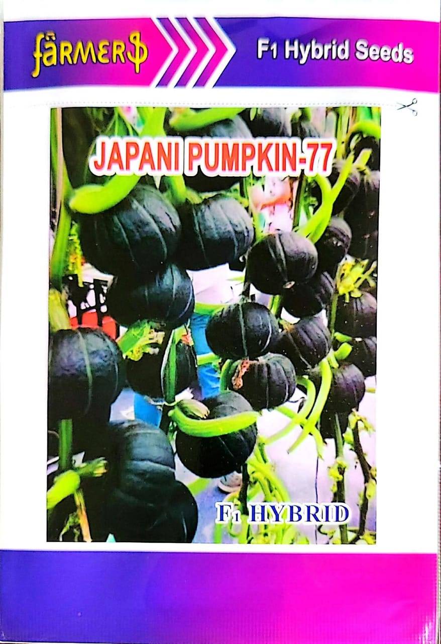 জাপানি কুমড়া ৭৭ | Japani Pumpkin 77 Seed