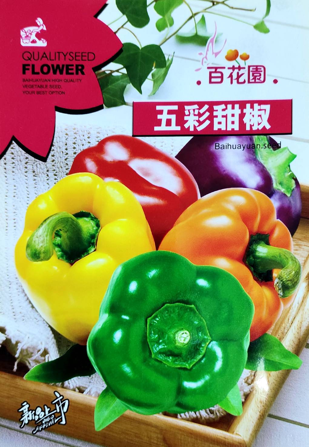 মিক্স কালার ক্যাপসিকাম । COLORFUL CAPSICUM ( চাইনিজ)
