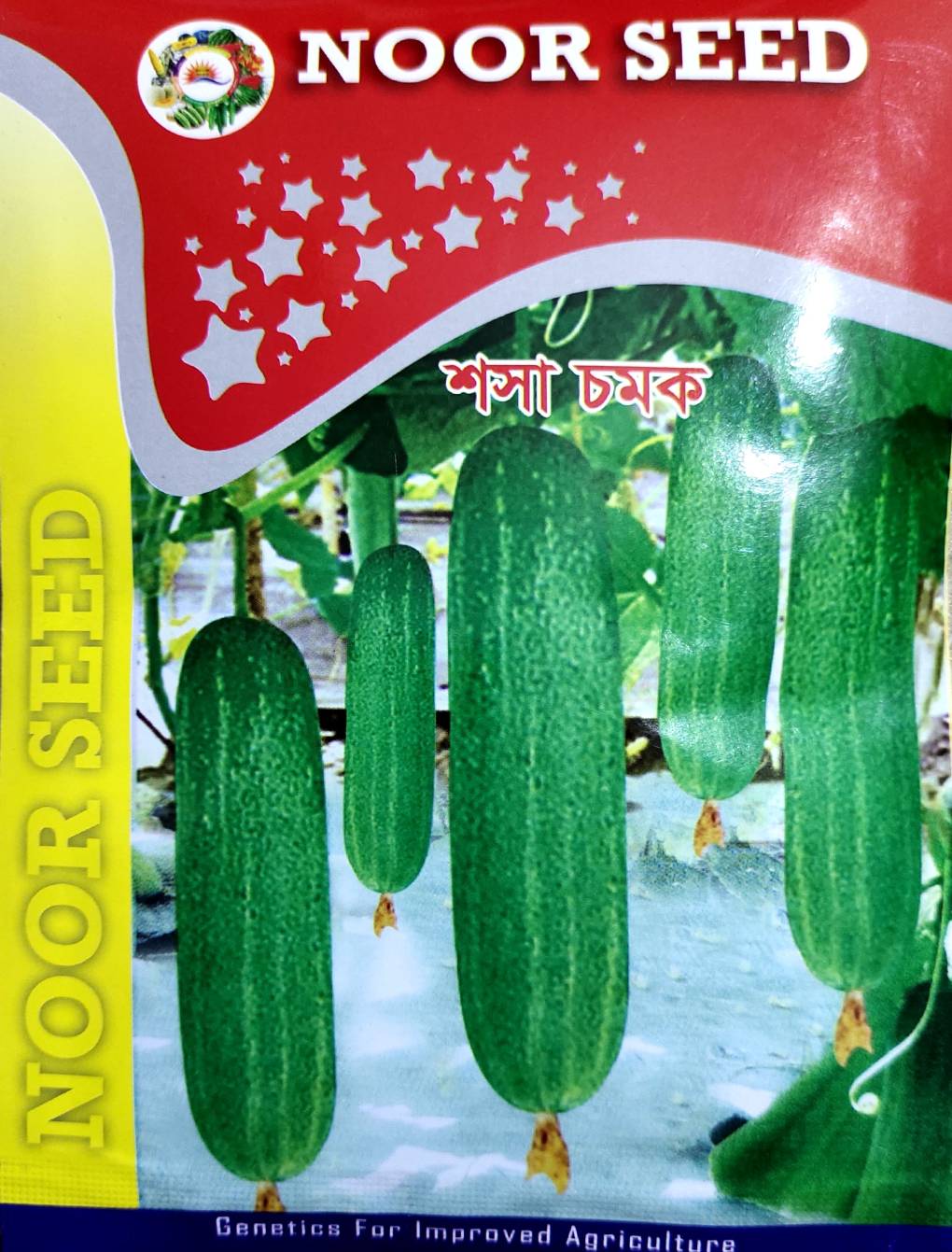 হাইব্রিড শসা চমক