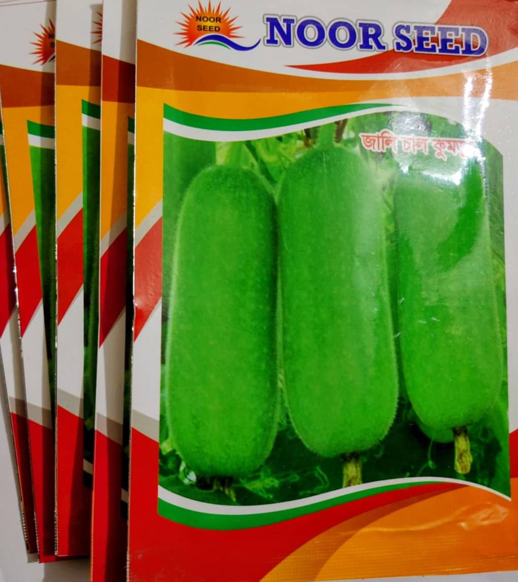জালি চাল কুমড়া বীজ