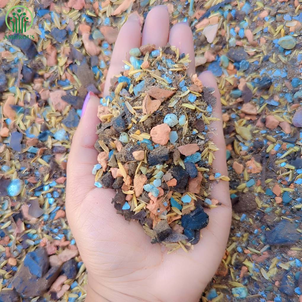 স্যাকুলেন্ট মিডিয়া - ১৩০ টাকা ।