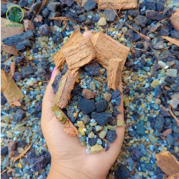 অর্কিড মিডিয়া - ১৩০ টাকা